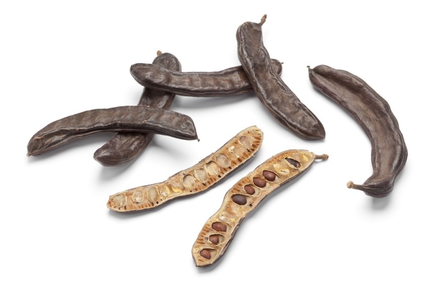 Picture of dried carob pods