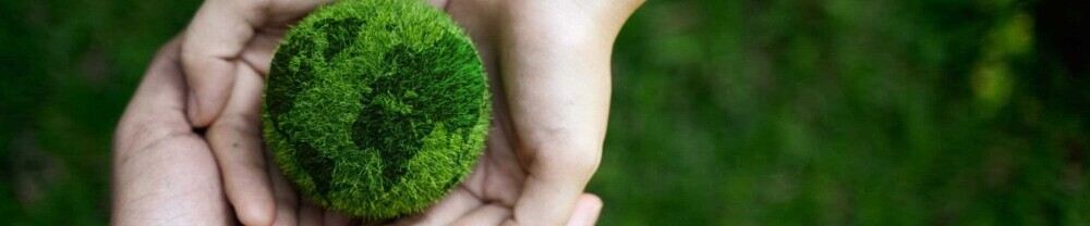 two hands hold a moss ball, which is supposed to represent a globe