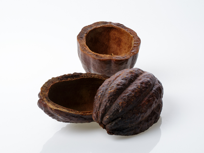 Das Bild zeigt zwei leere Hälften einer braunen, strukturierten Kakaoschote auf weißem Hintergrund.