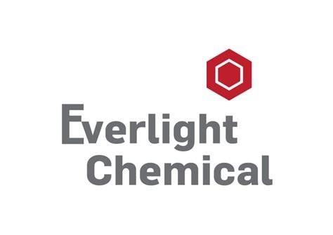 Everlight Chemical logo, written with grey letters