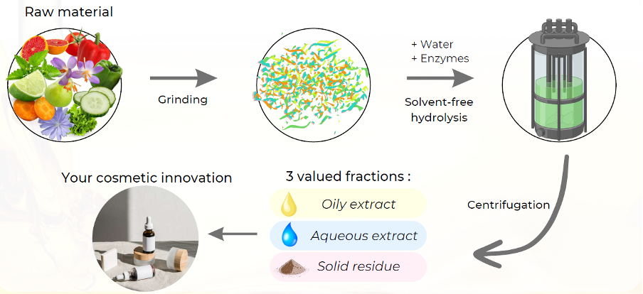 The process of Biolie oils